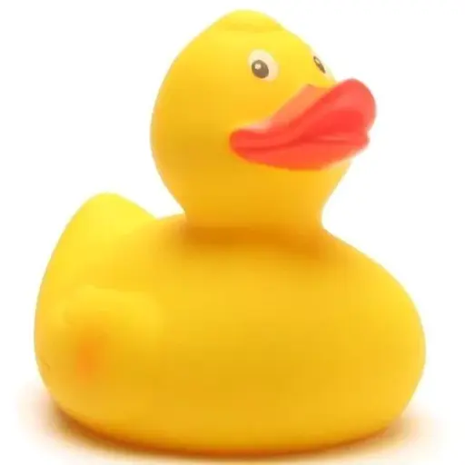 [2903] Canard en caoutchouc Sylvia